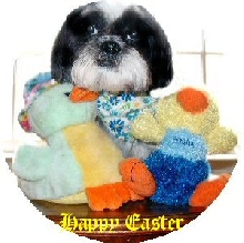 Happy Easter