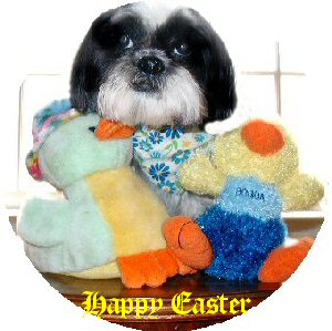 Happy Easter
