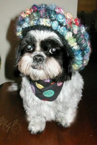 Hat