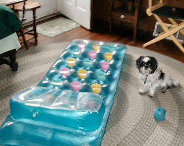 Helper Katie