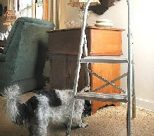 Helper Katie.....walls