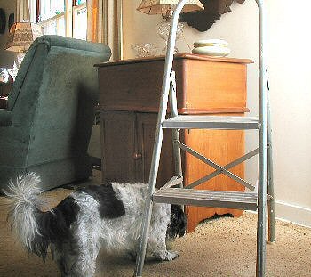 Helper Katie.....walls