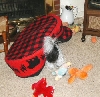 Hide and seek