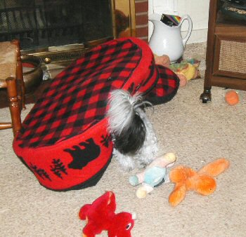 Hide and seek