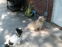 Hurry up..Katie and Benji