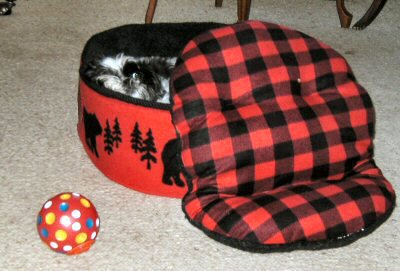 I see you...bed