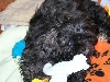 Lizz...Jade