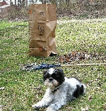 Job, Katie....lawn