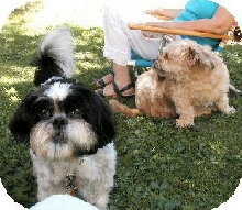 Katie and Benji...FY