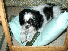Katie.. stand...pillow