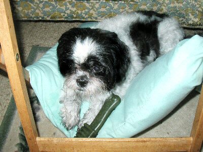 Katie.. stand...pillow