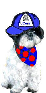 Katie UConn hat latest