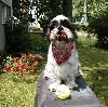Katie after bath..