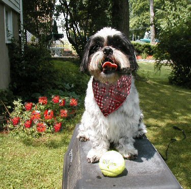 Katie after bath..