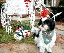 Katie and Sammy reindeer