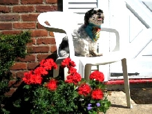 Katie latest...chair