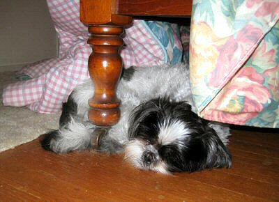 Katie under bed