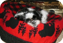 Katie upside down bed