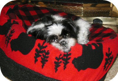 Katie upside down bed