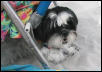 Cape Katie under beach chair