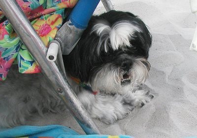Cape Katie under beach chair