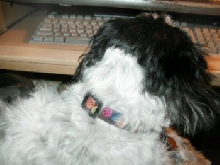 Keyboard Katie