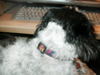 Keyboard Katie