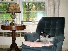 LRChair.....Katie