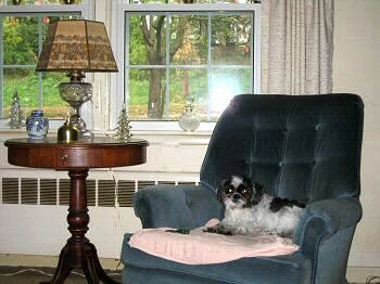 LRChair.....Katie