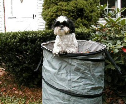 Leaf bucket Katie