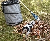 Leaves Katie latest