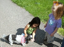 Little girls...Katie three