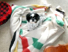 Look what I did...blanket
