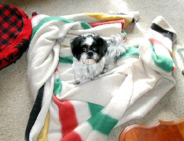 Look what I did...blanket