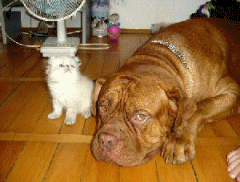 Love at first sight...