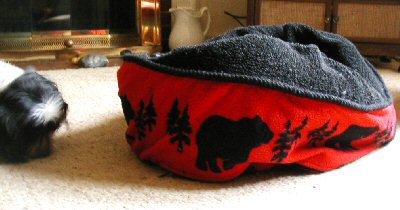Lumpy bed...