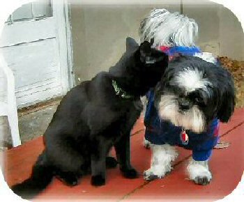 Katie...Luna...secrets