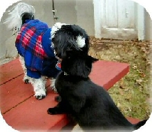 Katie and Luna