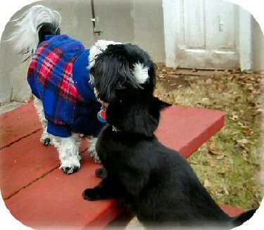 Katie and Luna