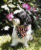 Memorial Day Katie smaller
