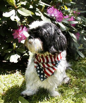 Memorial Day Katie smaller