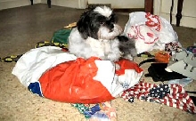 Mess..CC