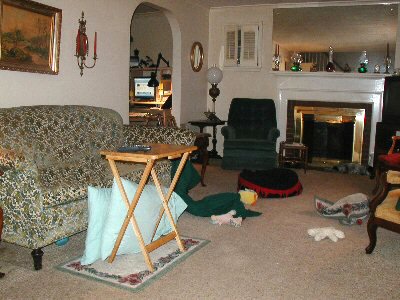 Messy living room.