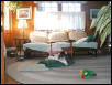 Cape livingroom mess