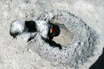 Mud hole Katie