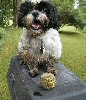 Muddy Katie