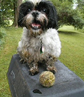 Muddy Katie