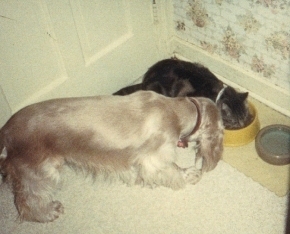 Muffy & Spijo drinking