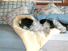Nap time