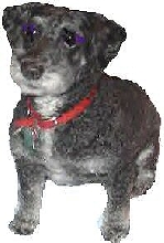 Max...Phyl
